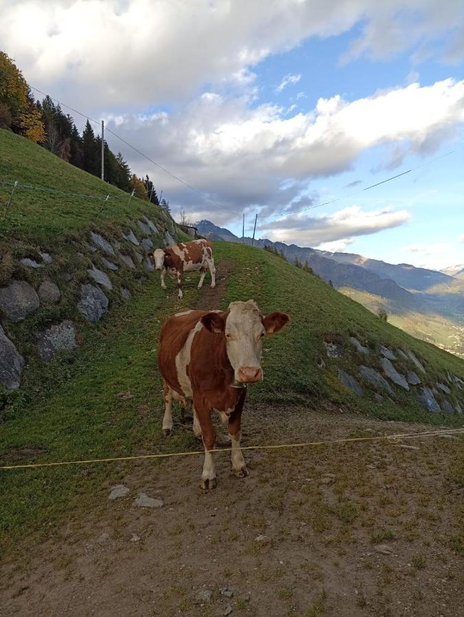Апартаменти Ortnerhof Ahrntal Екстер'єр фото